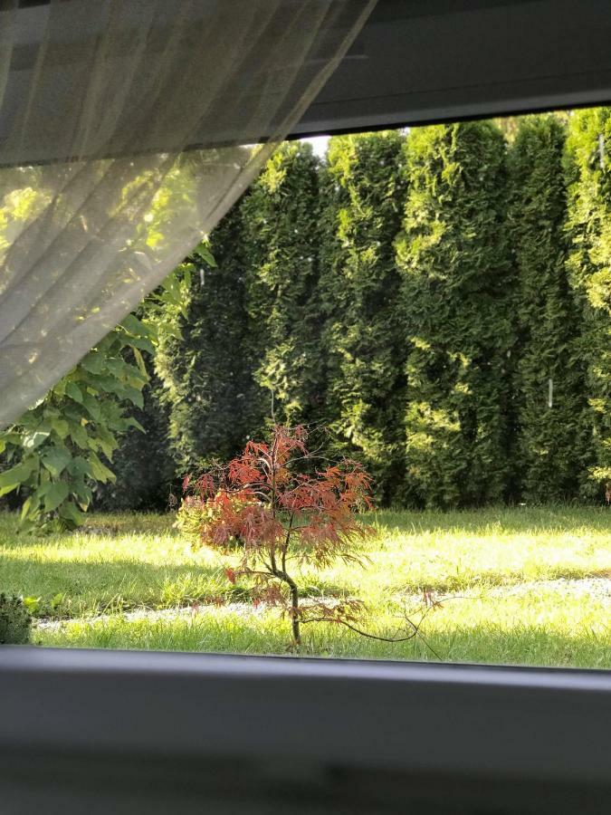Przytulne Mieszkanie W Urokliwej Okolicy Apartment *